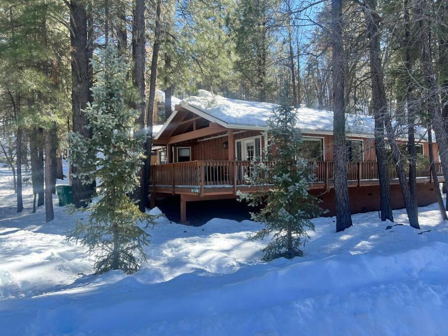 The Bluejay Cabin At Munds Park, Az! Седона Экстерьер фото