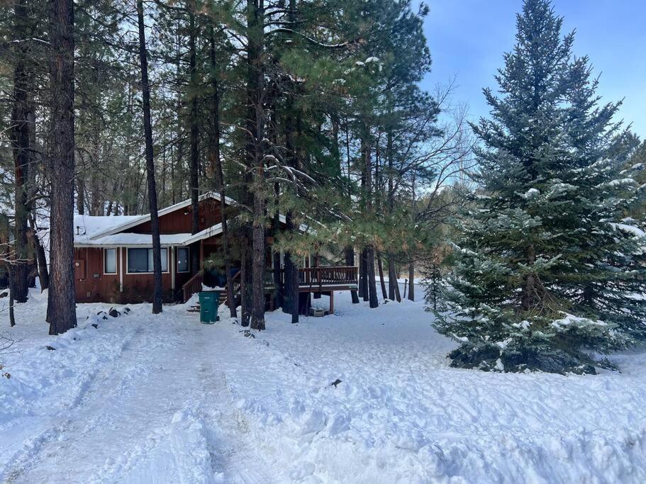 The Bluejay Cabin At Munds Park, Az! Седона Экстерьер фото